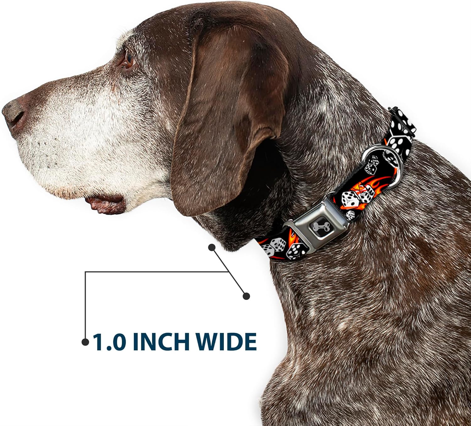 Buckle-Down Seatbelt Buckle Dog Collar - Flaming Dice - 1" Wide - Fits 11-17" Neck - Medium
