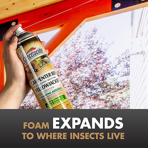 Miniatura 3 de Spectracide Carpenter Bee and Ground - Aerosol de espuma para insectos, 16 onzas y asesino de avispas y avispas calientes (paquete de 2), 17.5 onzas