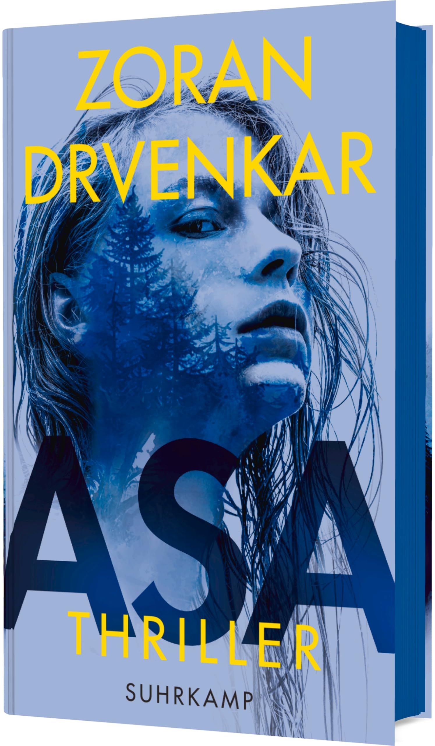 Asa: Thriller | Ein Pageturner, eine düstere Familiensaga, ein atemberaubender Racheroman