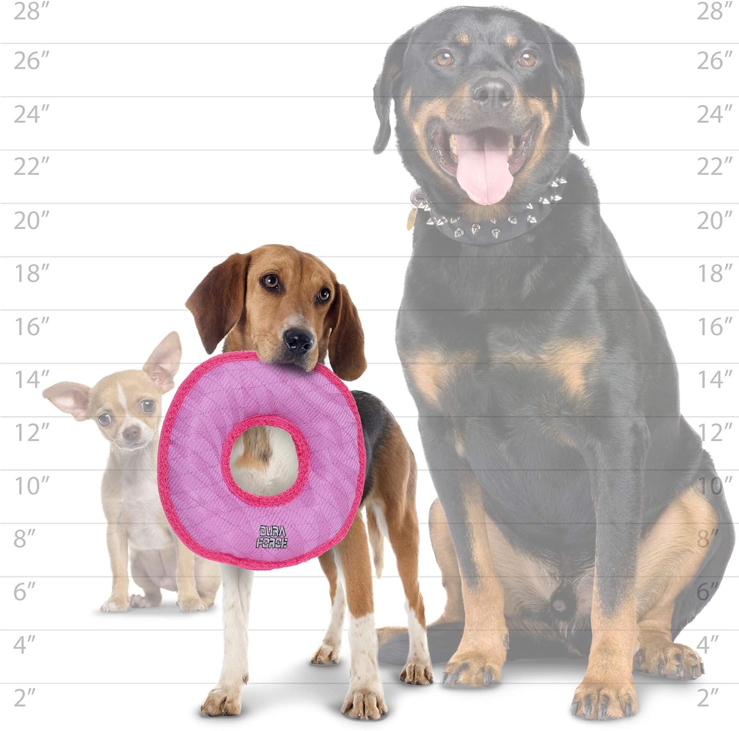 DURA FORCE - Durable Woven Fiber Dog Toy - Multiple Layers. Made Durable, Strong & Tough. Interactive Play (Tug, Toss & Fetch). Machine Washable & Floats (Ring Pink, Medium 2 Pack)