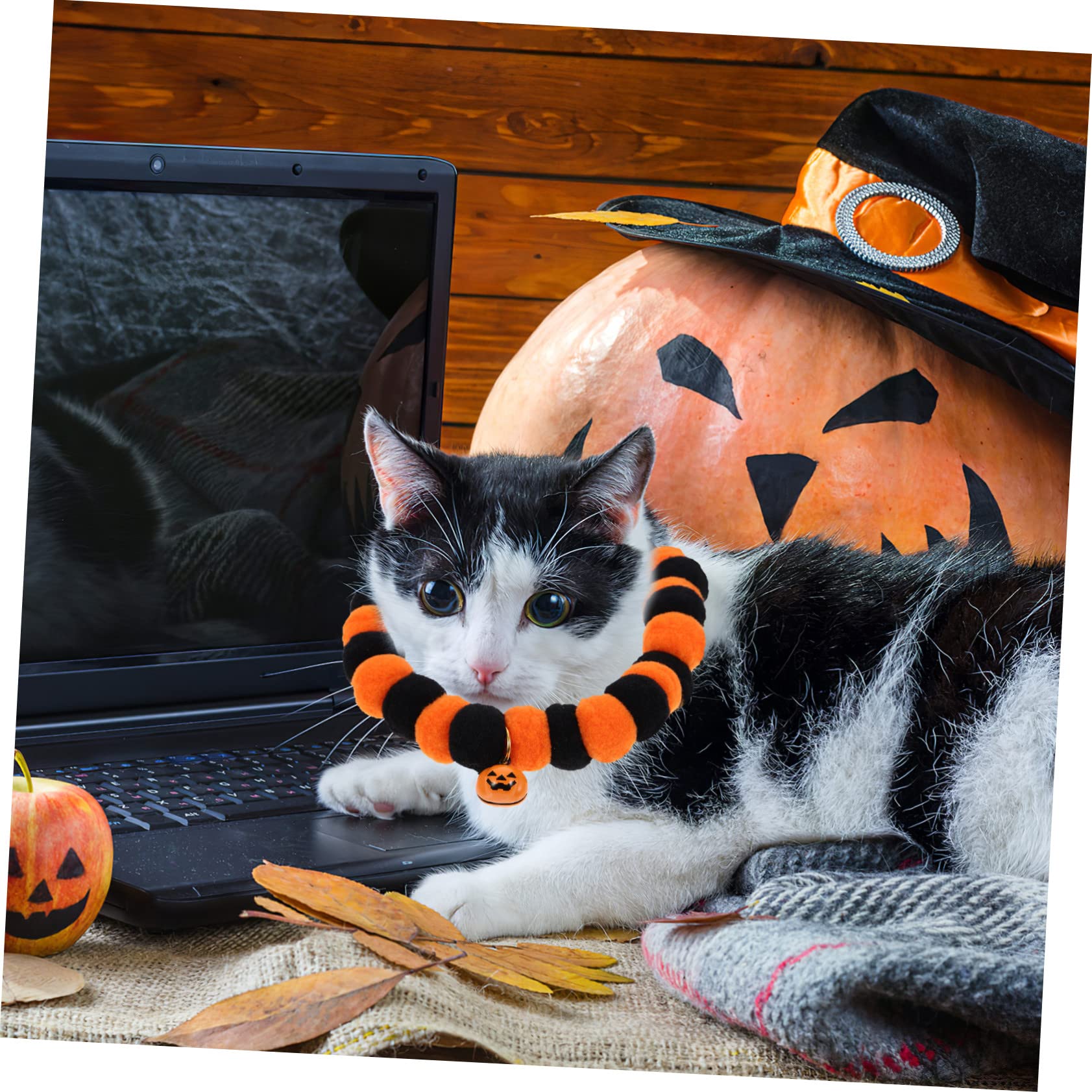 Sosoport 10stücke Verstellbares Katzenhalsband Mit Glöckchen Und Kürbisdesign Waschbar Für Halloween-Partys Geeignet Komfortabel Und Hautfreundlich Für Katzen Und Kleine Hunde