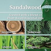 Vista 49 de Hemlock Park Vela de mecha de madera ámbar y dorada hecha a mano con cera de coco natural (estándar de 7.2 onzas, ámbar)