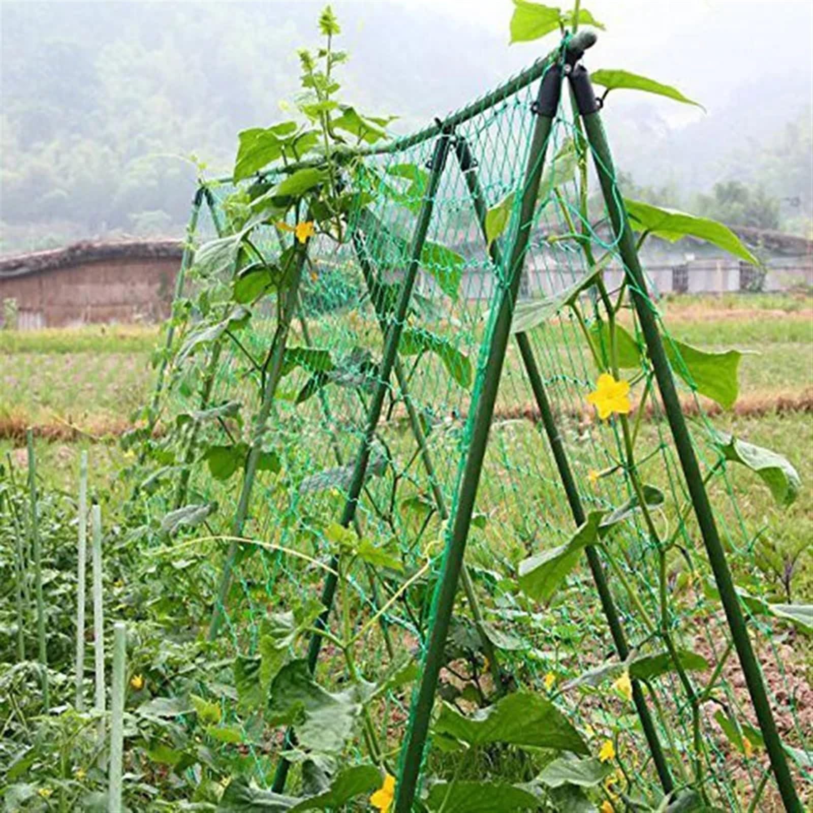 Rete da arrampicata da giardino, 1,8 m x 3,6 m, supporto per fiori, verdure, cetrioli e piante rampicanti, ideale per giardino e serra