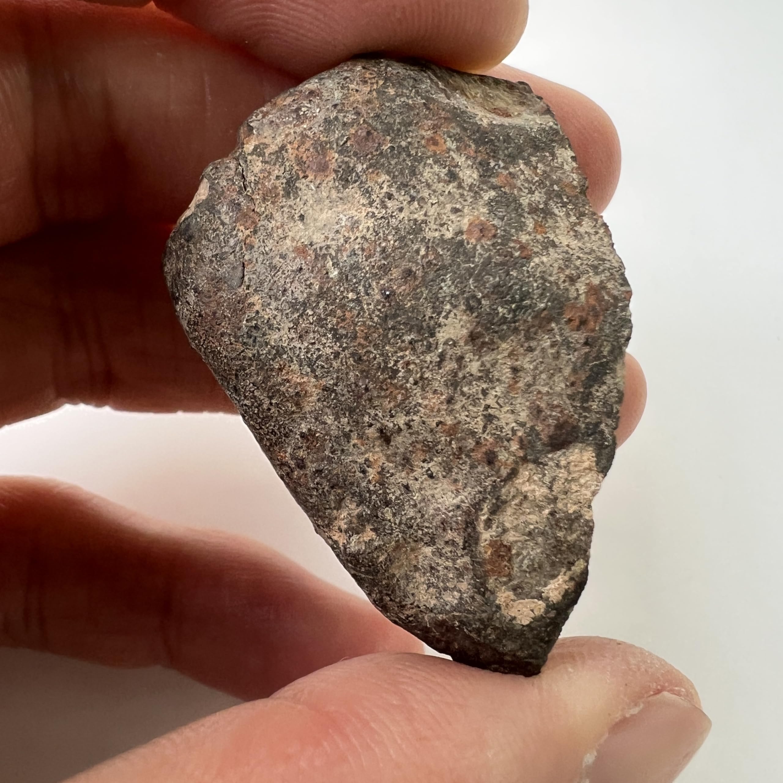 Amazon | 【E20781】石質隕石＊普通コンドライト＊隕石＊Condrite