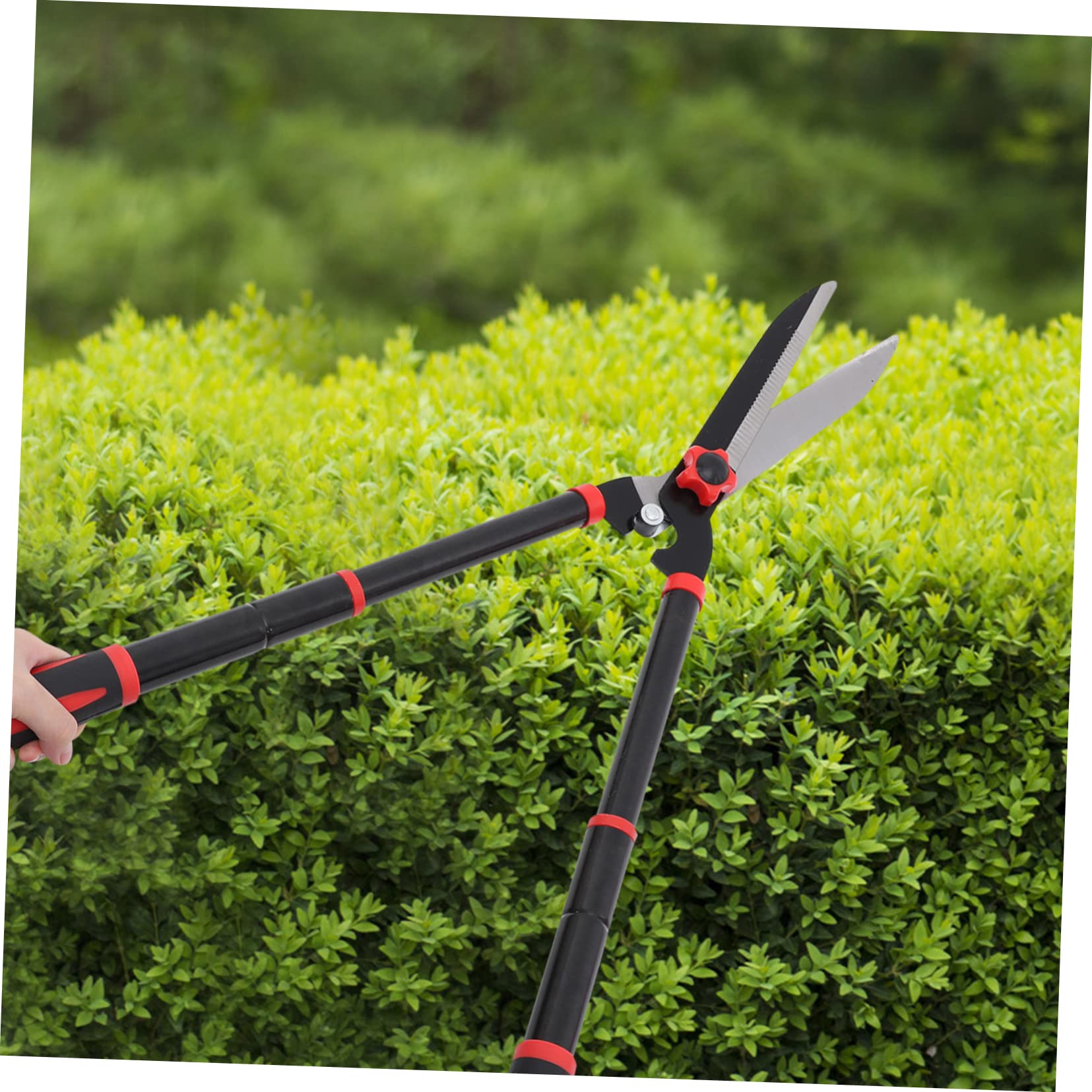 ifundom Cesoi Per Siepi Manuali Attrezzi Da Giardinaggio in Acciaio Impugnature Ergonomiche in Gomma Antiscivolo Cesoie Da Giardino Per Potatura Arbusti e Piante Ornamentali