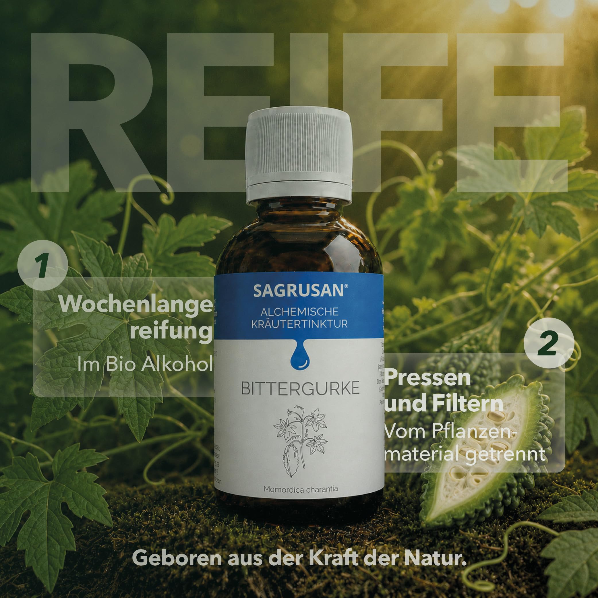Bittergurke Tinktur 100 ml Momordica Charantia Tropfen vegan Bio Extrakt Bittermelone Karela Goya Kräuter Tinktur Pflanzenextrakt 65% Alkohol Braunglas ohne Farbstoffe Premium Qualität.