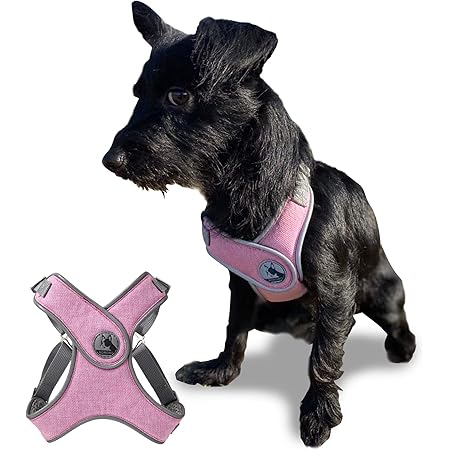 Amazon Mellbo 犬 ハーネス 小型犬 中型犬 胴輪 簡単装着 4箇所サイズ調整可能 夜間反射 引っ張り防止抜けにくいデザイン 通気性 ピンク Xs Mellbo ハーネス 通販