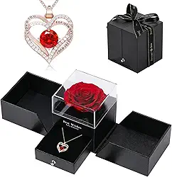Conjunto de joias de colar de rosa preservada com amor, presentes de flores de rosas feitos à mão para ela no dia das mães, aniversário, dia dos namorados, aniversário de Natal e (vermelho1)