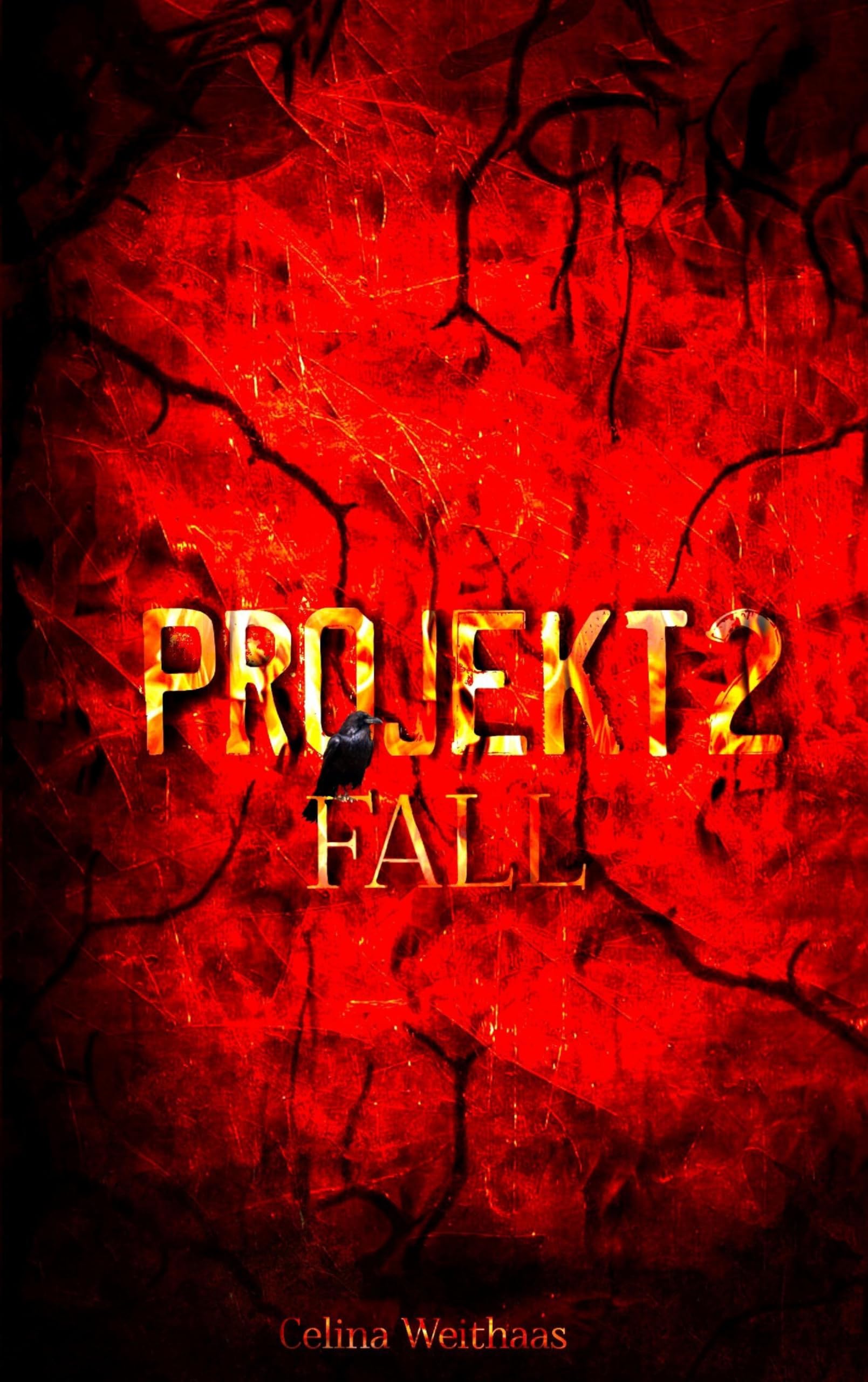 Fall - Projekt II: 2
