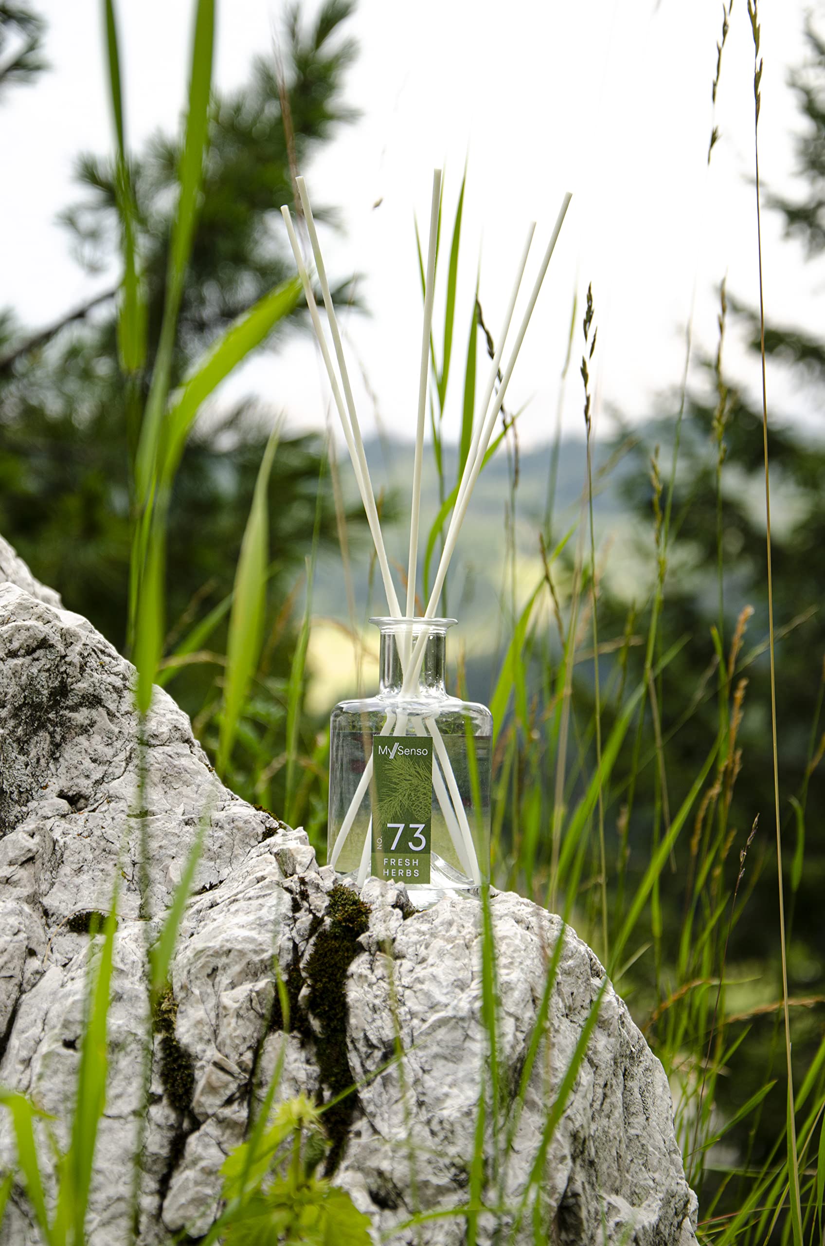 MySenso Alpine - N°73 Fresh Herbs - Diffusore a bastoncini con olio di pino cembro biologico - fragranza alpina per casa e ambiente - profumo fresco – confezione regalo elegante e sostenibile