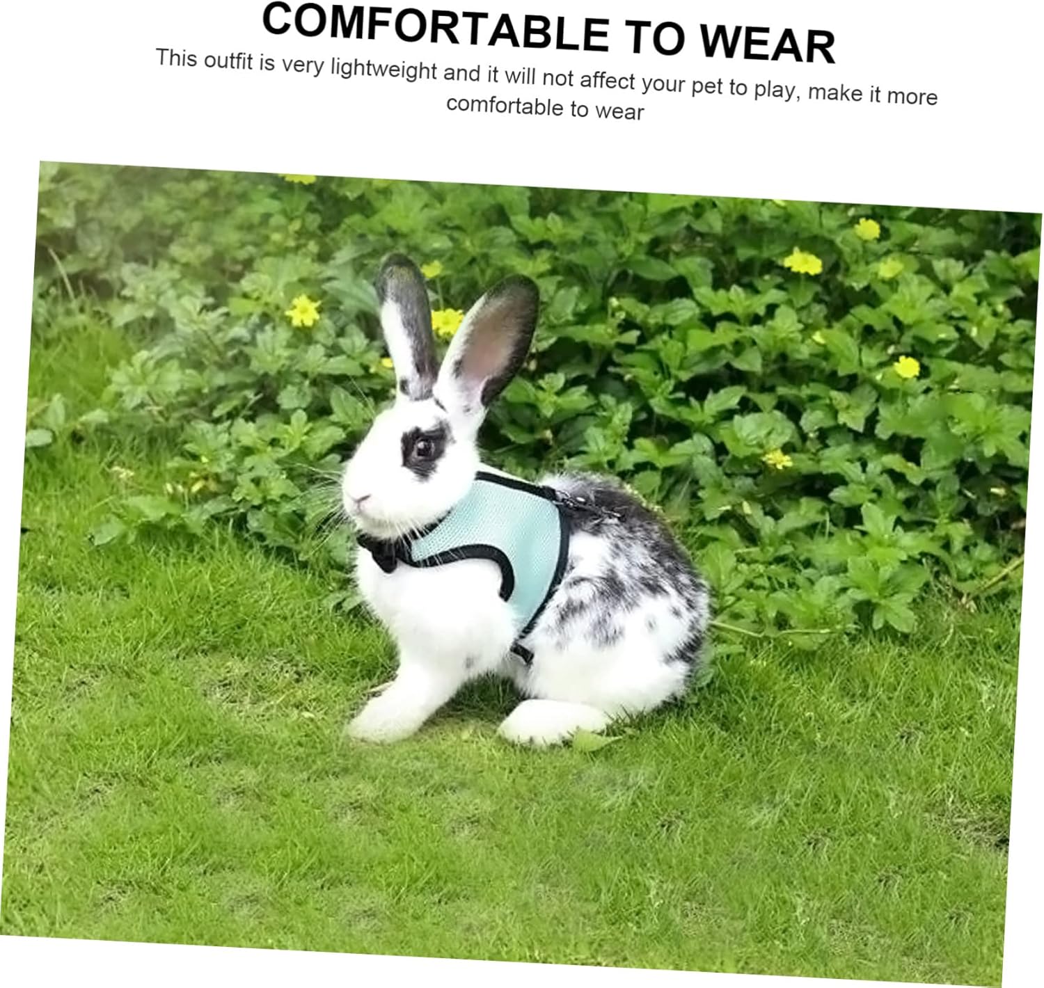 BESPORTBLE 12pcs and Leash for Pets Mesh Vest for Hamsters Guinea Pigs and Bunnies Comfortable and Fashionable Outdoor Gear Multiple Colors