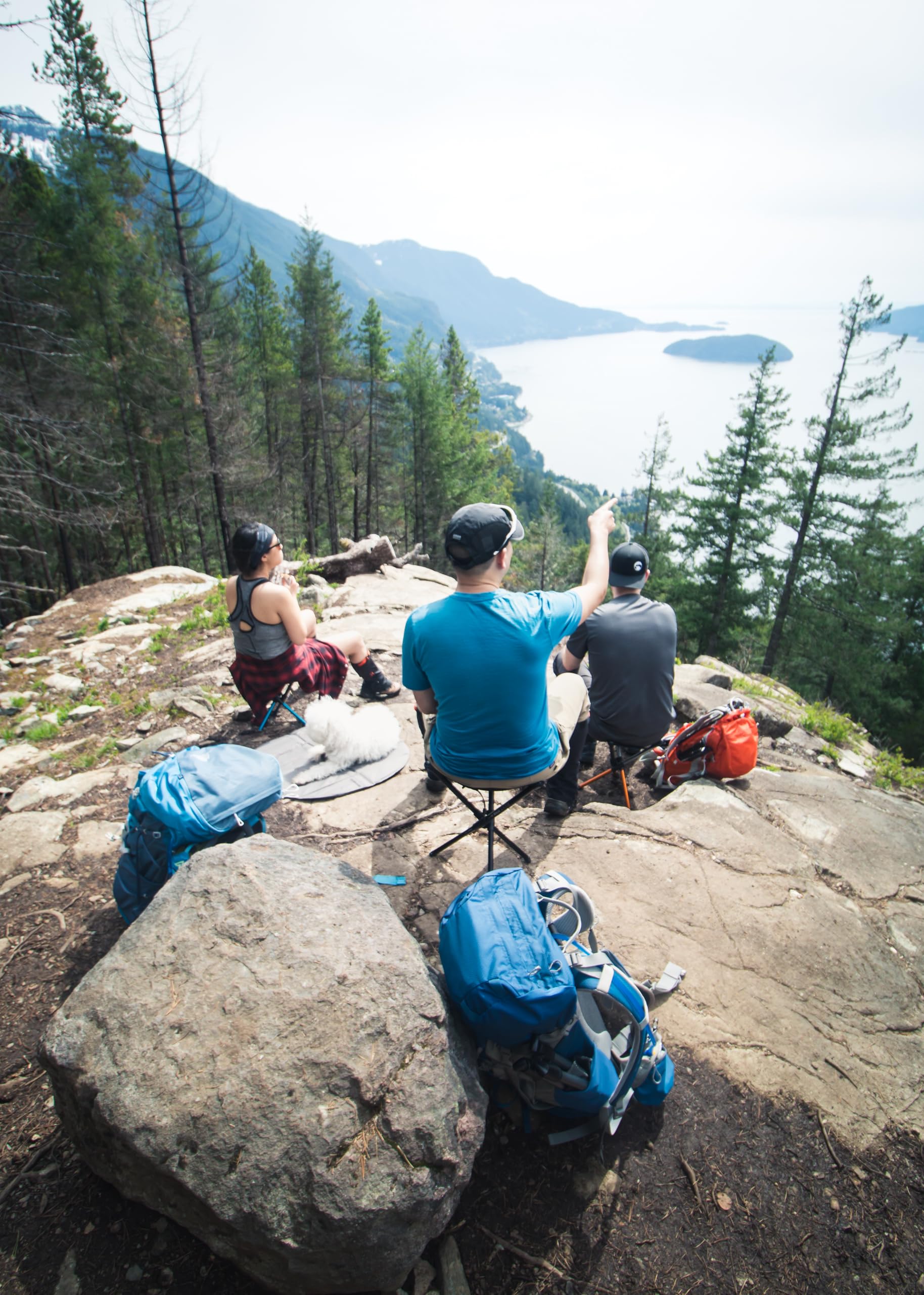 Amazon.co.jp: ヒルサウンド BTR スツール 14インチ アルペン