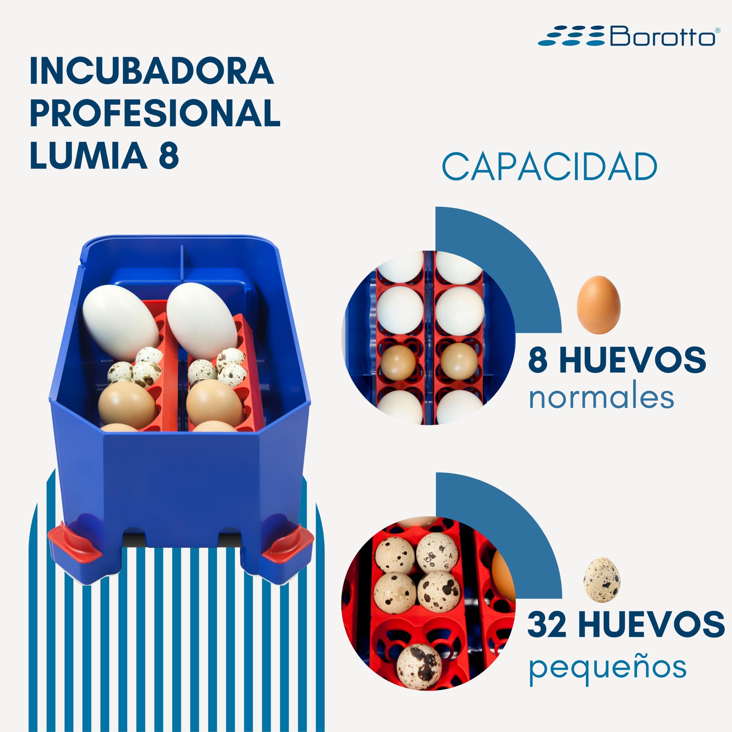 Borotto Lumia 8 | Incubadora de Huevos Automática Profesional Patentada para 8 Huevos o 32 Pequeños con Volteador de Huevos Automático y Control de Temperatura | Made in Italy