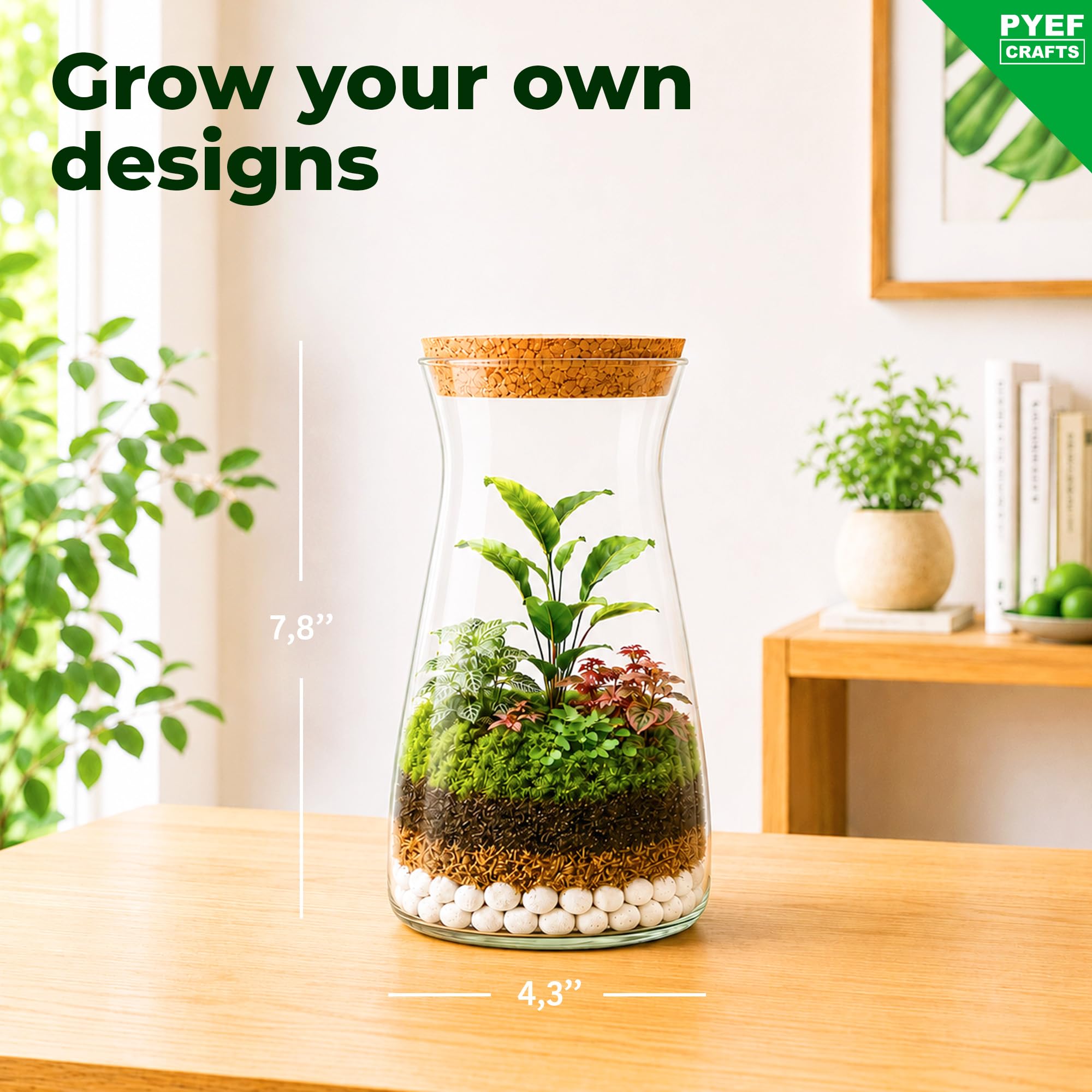 Amazon.co.jp: 植物用DIYテラリウムキット-ボトル入りガーデン用