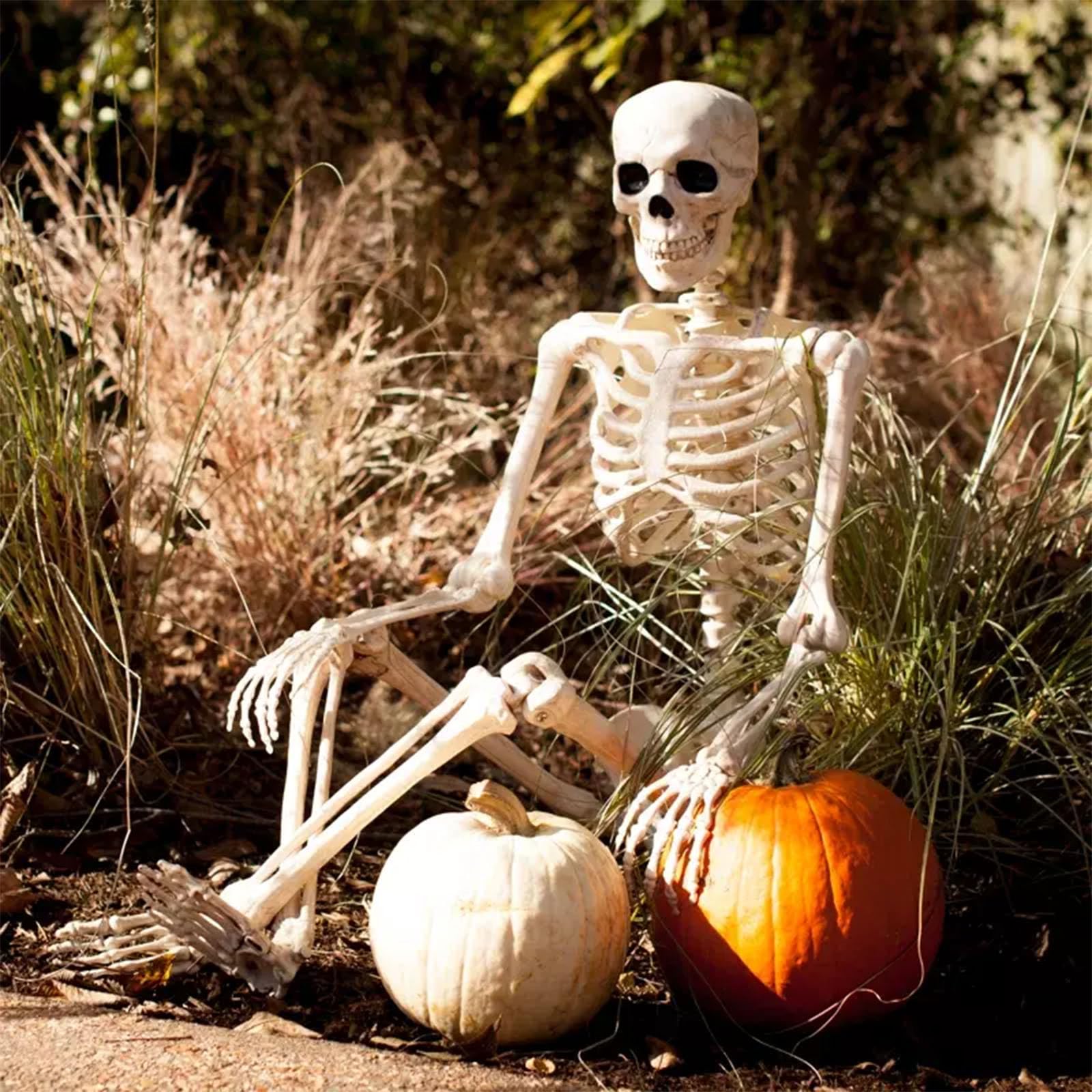 Squelette Halloween Décoration, 165cm Squelette Humain Taille Réelle, Squelette d'halloween pour Intérieure et Extérieure, Posable Skeleton for Halloween Garden Graveyard Decorations