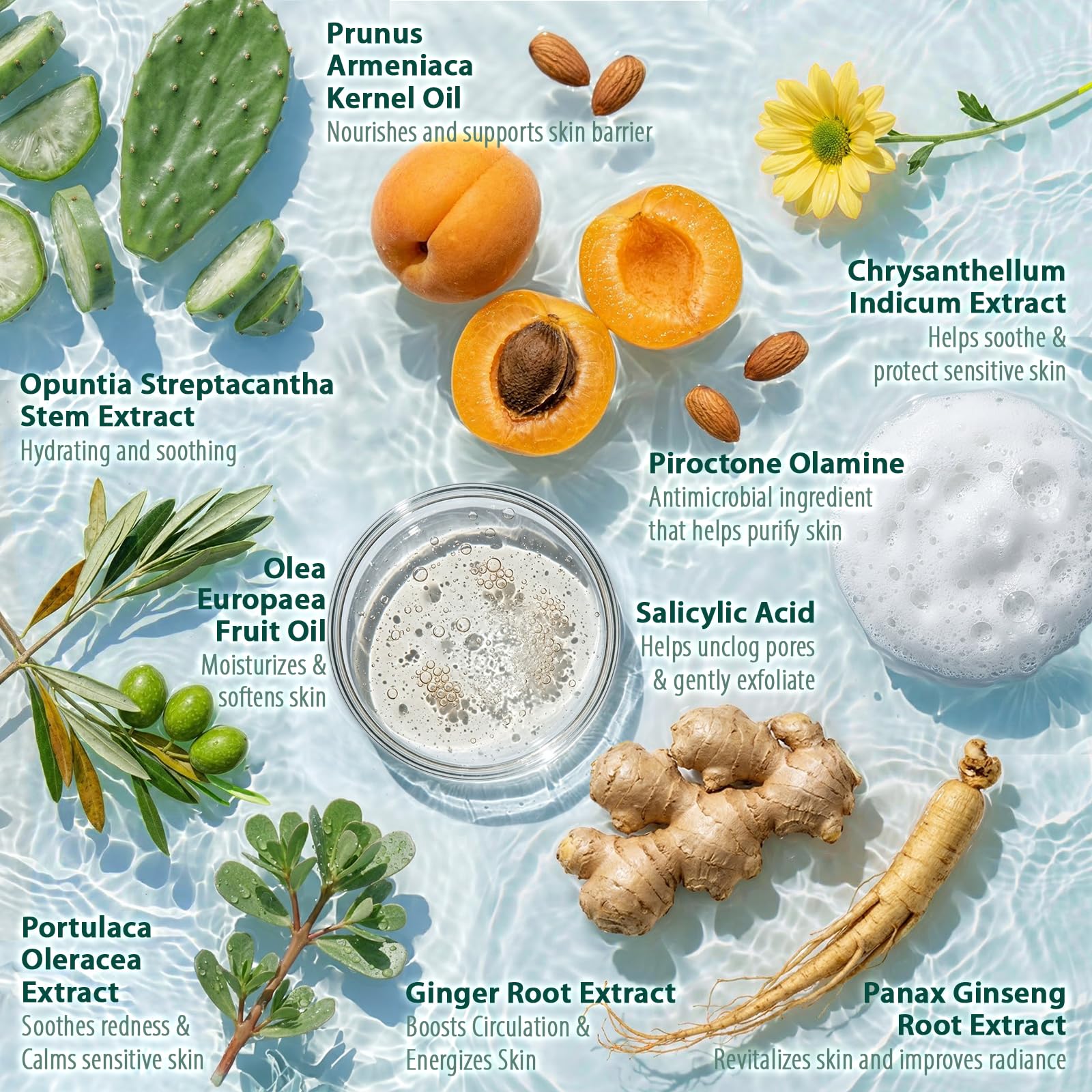 Antifungal Body Wash Antibacterial Soap: Shower Gel for Blemish-Prone & Itchy Skin, Helps Cleanse Skin Prone to Fungal & Irritation-Related Concerns – For Men & Women with 12 Botanical Extracts (300 ml (Pack of 1), Herbal Floral) - 4