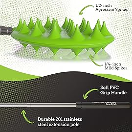 Cactus Scratcher Extendable Keychain Back Scratcher - 16 Long Stick Double Sided Retractable Scratching Tool for Hand, Neck, Head, and Body - Universal Gift for Family, Pets, and Friends, Green