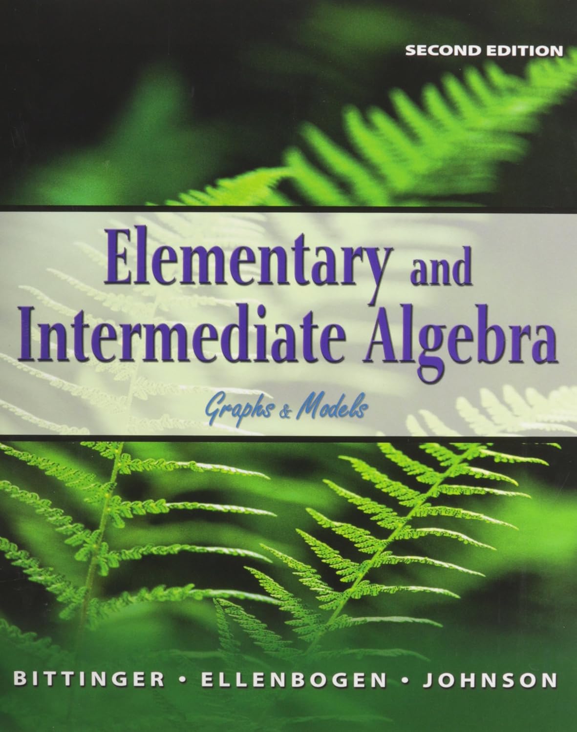 Elementary and Intermediate Algebra/Graphing Calculator