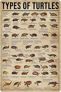 JIUFOTK Types Of Turtles Metal Tin Signs Turtle Species Infographic ...