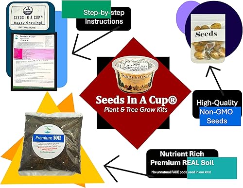 Miniatura 5 de Semillas en una taza - Kit de cultivo de árboles (arce japonés)