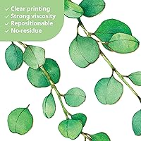 Vista 4 de DECOWALL DS9-8052 Calcomanías de pared de vides de eucalipto, calcomanías verdes para niños, despegar y pegar, removibles para guardería