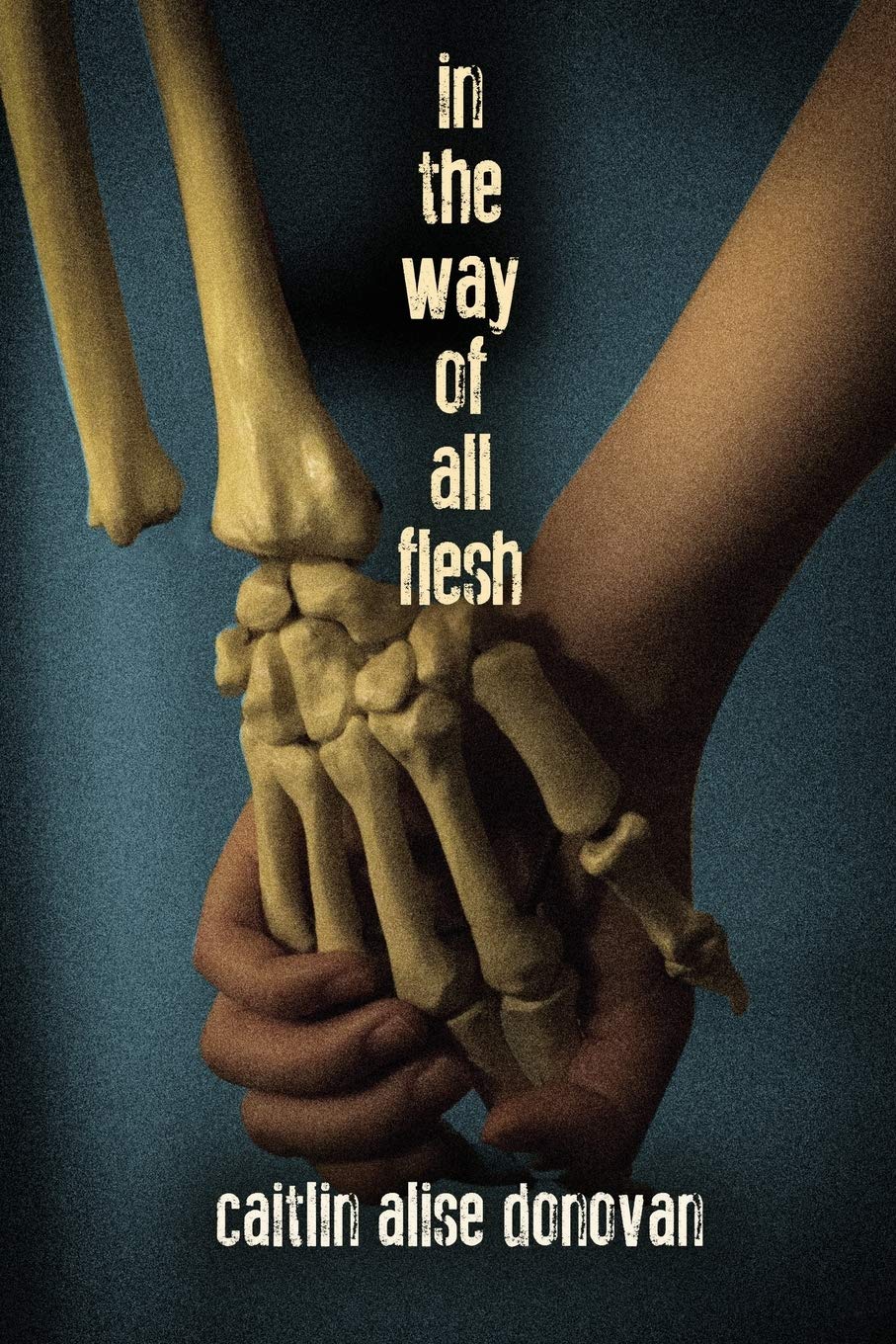 Buy In the Way of All Flesh — BookShops.in