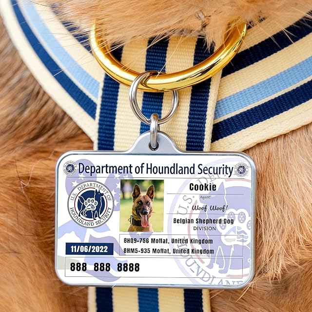 Foto 2 de 6 de Personalizada Etiquetas de Identificación para Mascotas