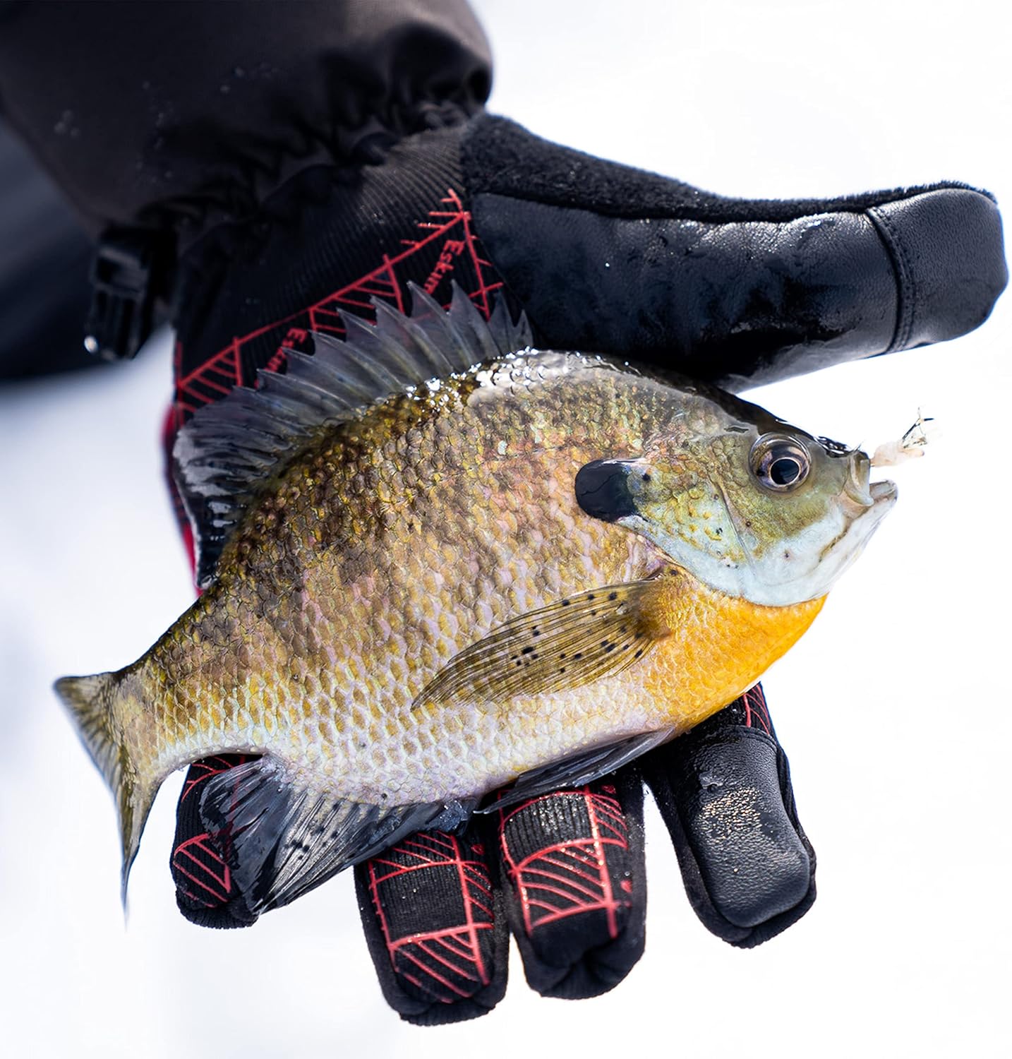 Eskimo womens Eskimo Lockout™ Flex Glove