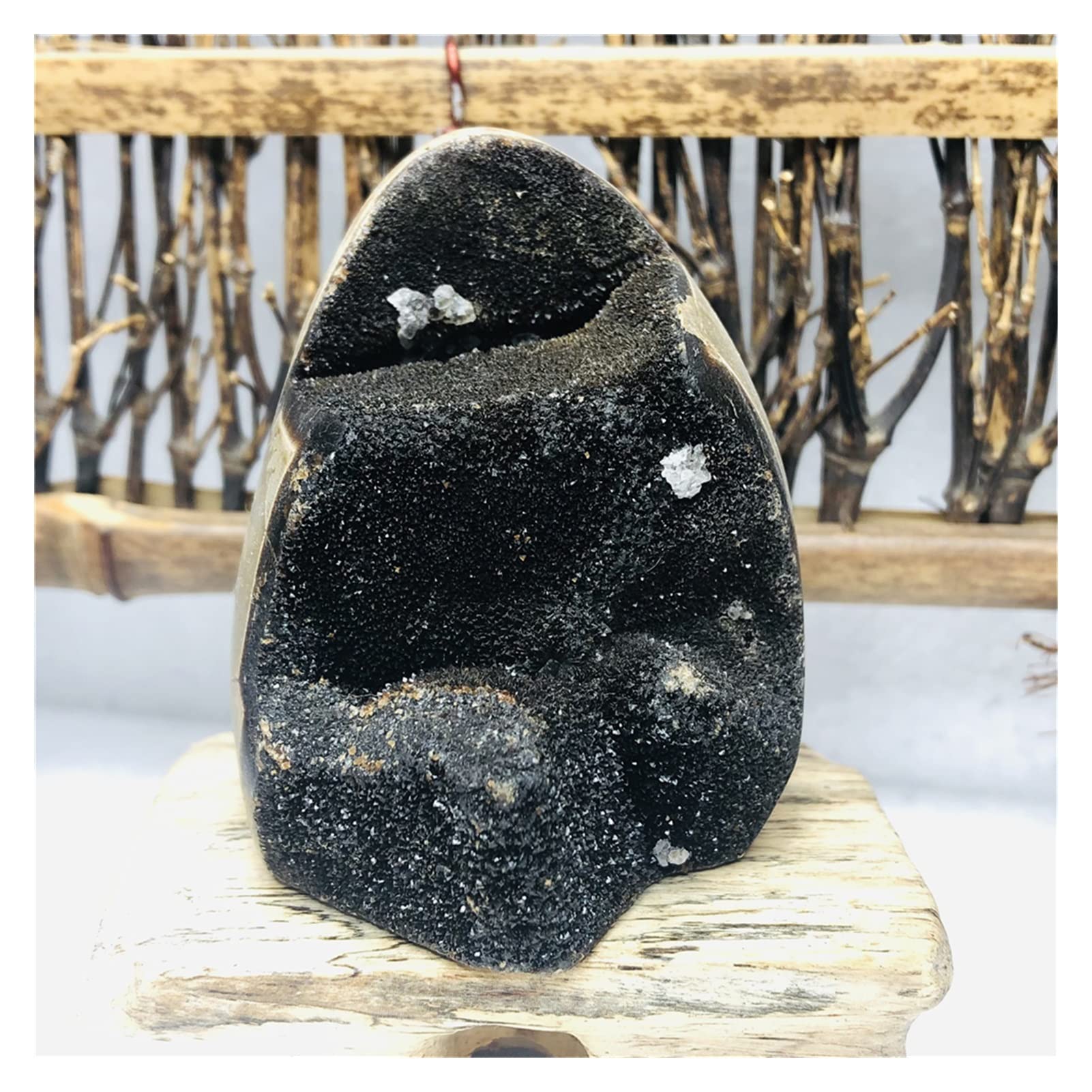 ジオード亀 幸 ～ アゲートジオード カメ（亀）さん 1個 50mm 天然石置物