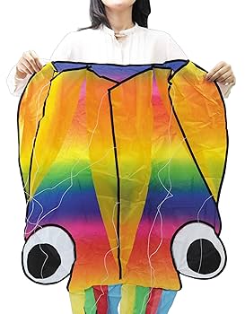 Amazon.co.jp: 池田工業社 凧 カイト 3Dカイト 虹色タコちゃん