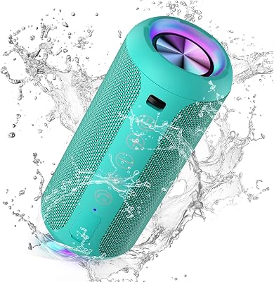 Ortizan OrtizanEnceinte Portable Bluetooth 5.3 IPX7, Bass Puissantes 360°, Autonomie 30h, Double Appairage Stéréo, Lumière LED sans Fil