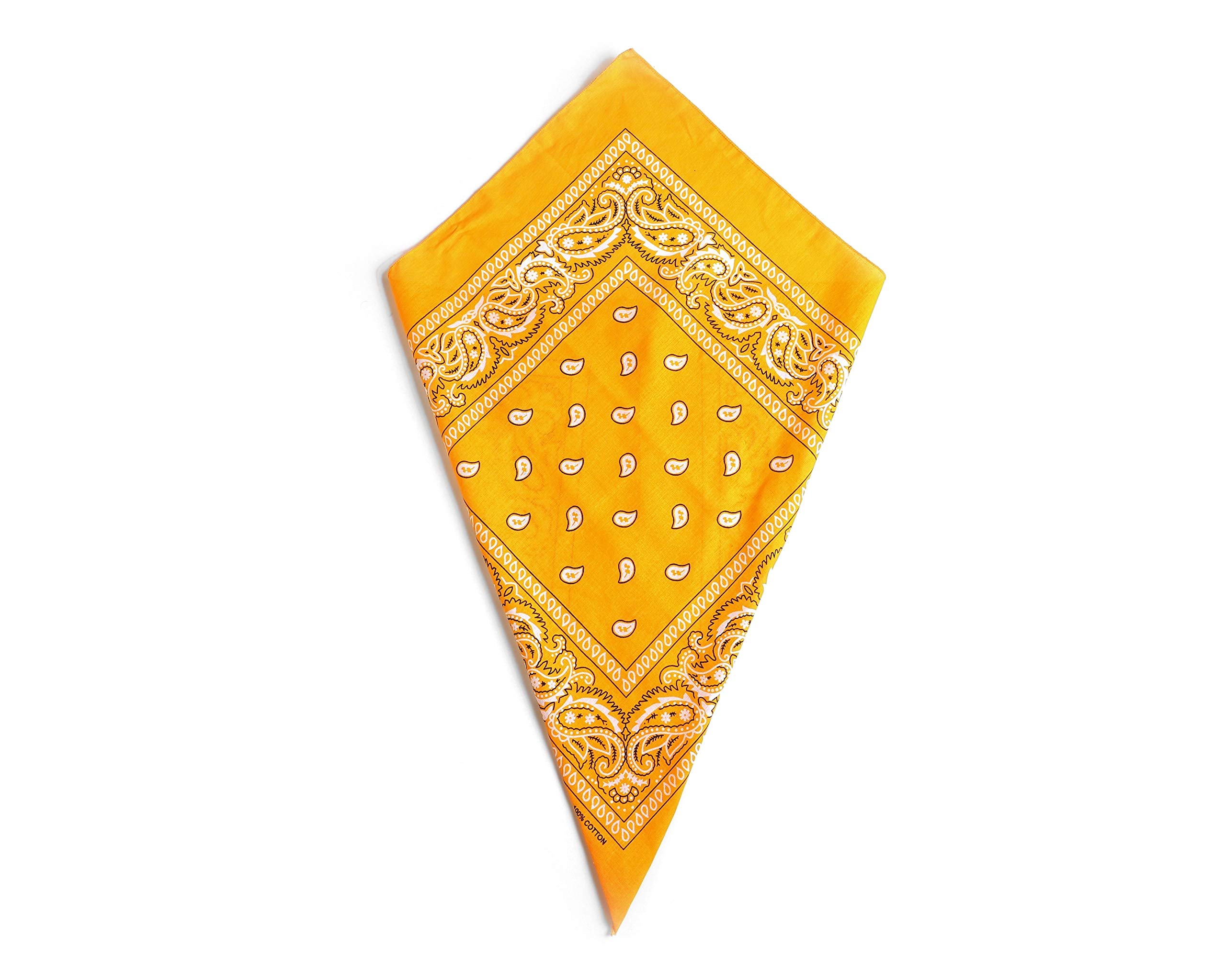 Amber Paisley Bandana Head Scarf Headbands Handkerchief Cowboy Cotton Bib Party Face Covering Headwear For Motorcycling Mens Womens Unisex