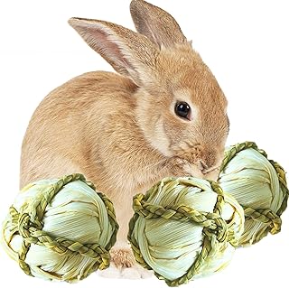 SunGrow Rabbit Leaf Ball, Trims Their Teeth, Entertaining Chew Toy, Keep Bunny, Guinea Pig, Kitten & Chinchilla Healthy & Happy