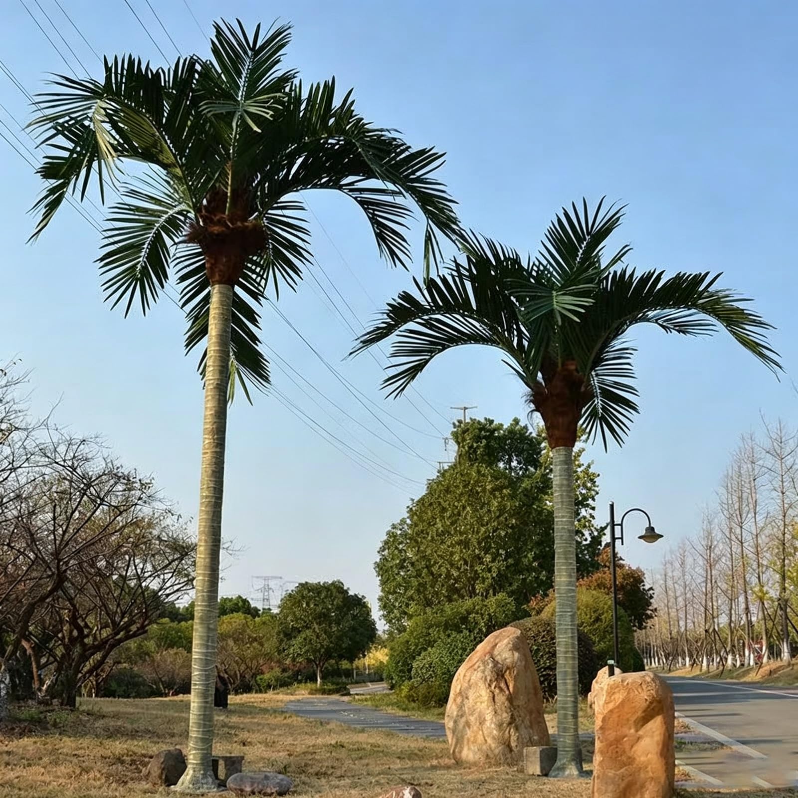 Compact Height Freestanding Artificial Coconut Palm Tree Miniature Tropical