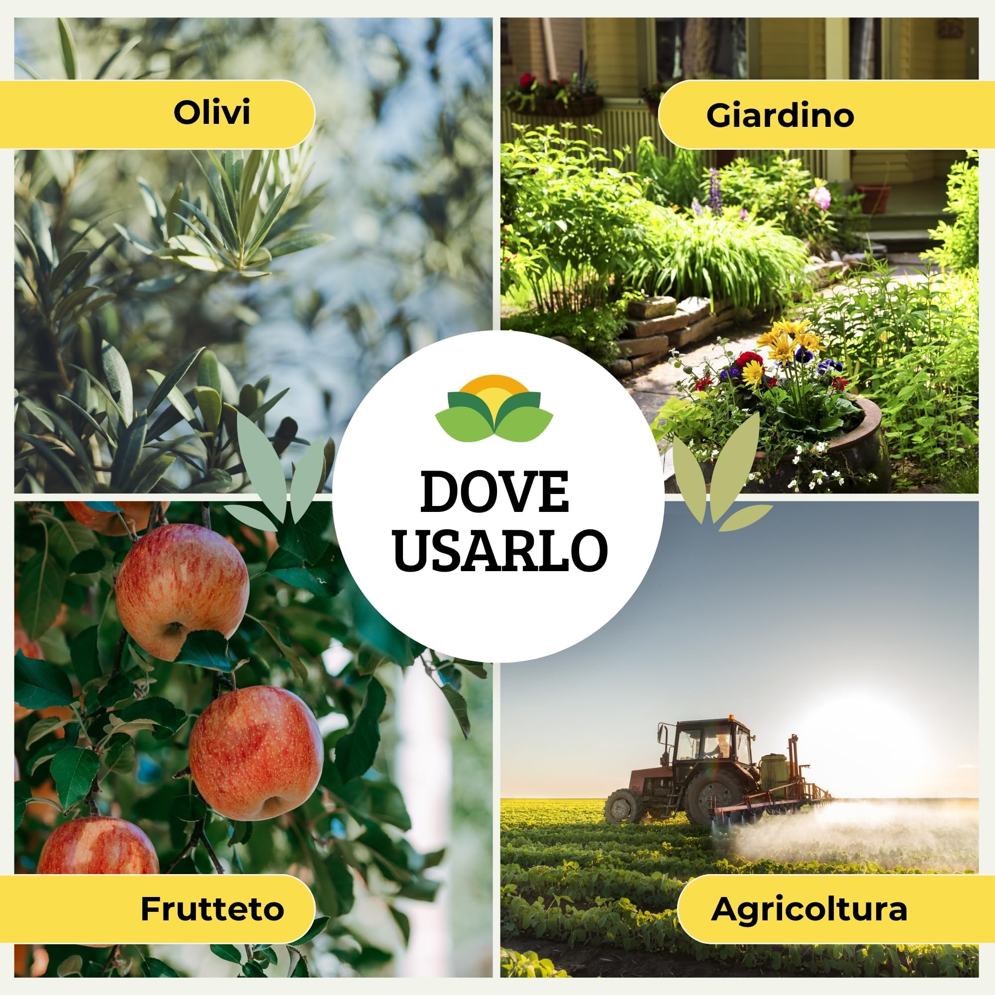 Albagarden - Trappola Cromotropica Verde Per Mosca Dell’olivo - Trappola Adesiva Senza Veleno, Fogli Cattura Insetti, Protezione Per Uliveti E Agricoltura Biologica - 5 Pannelli Appiccicosi