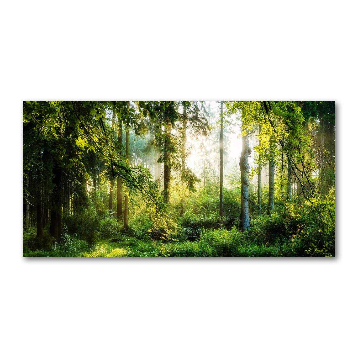 Dosseret en verre paysage vert forêt matin pour cuisine lumineuse et moderne - 8