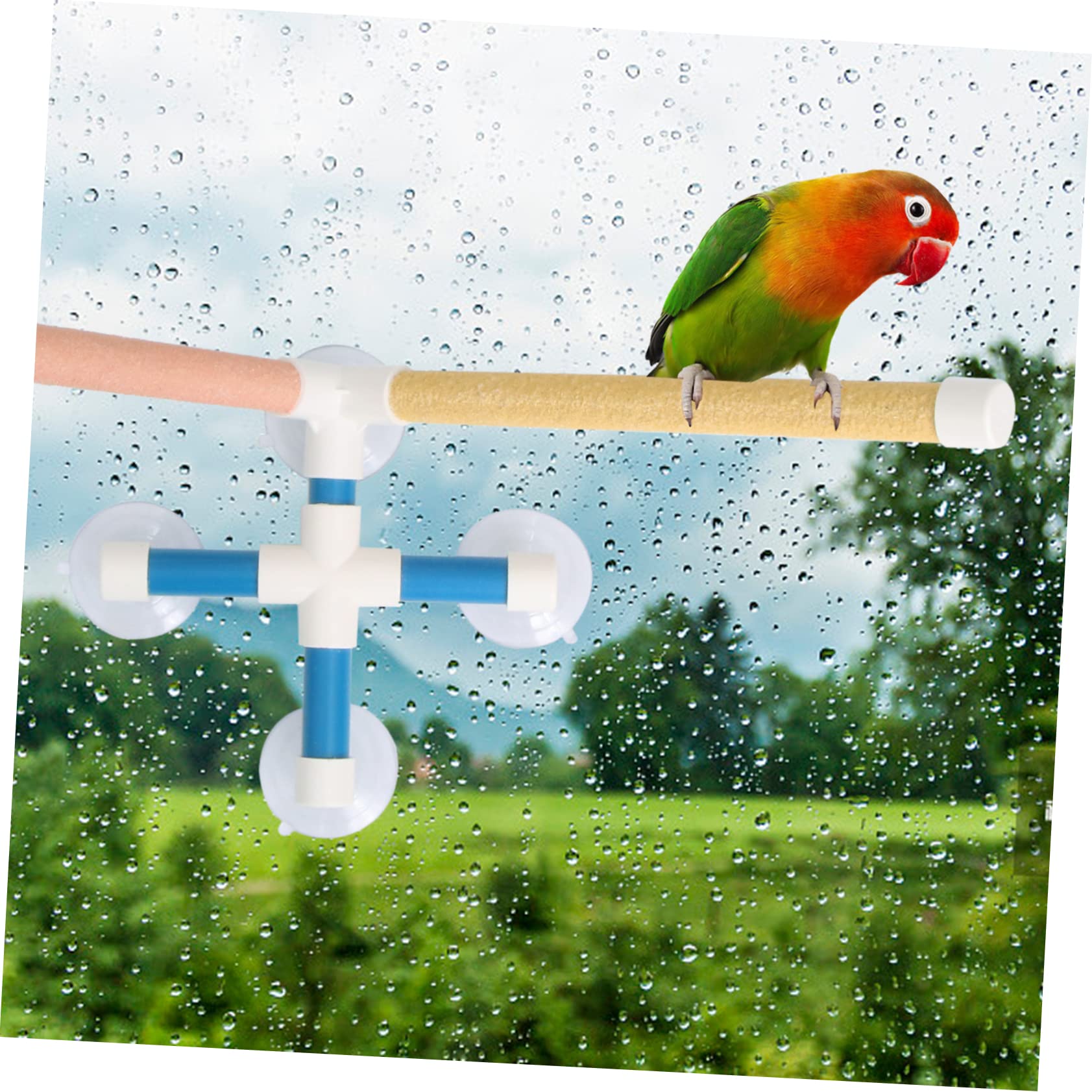 BESPORTBLE Parrot Stand Toy Bird Shower Stand Training Rack Bird Toy Parrot Bathing Station Random Color