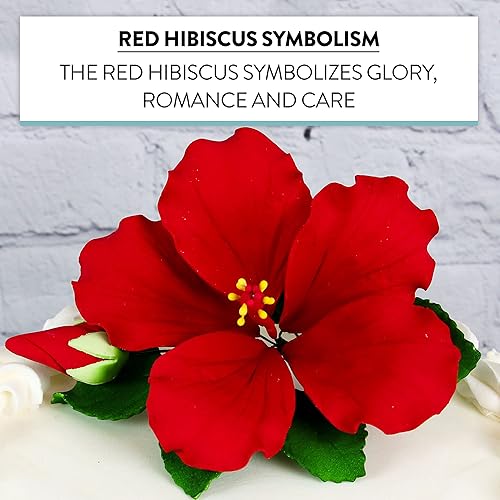 Miniatura 5 de Global Sugar Art Chef Alan Tetreault - Aerosol de flores para pastel de azúcar de hibisco, flor roja hawaiana grande, 1 unidad