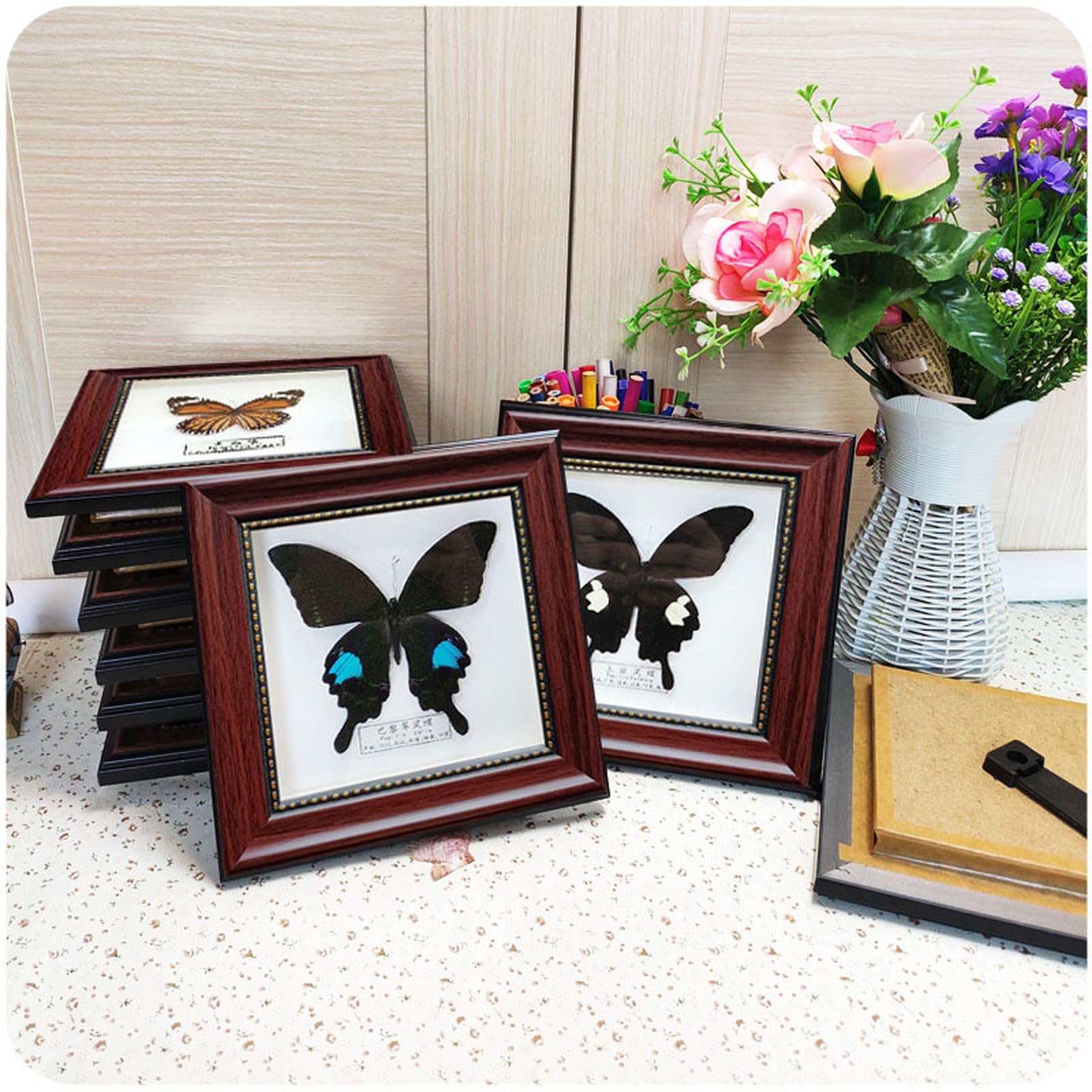 Echter Taxidermie-Schmetterling, Taxidermie-Schmetterlinge, exquisite Schmetterlinge, Insektenprobe, montiert unter Glas in handgefertigtem schwarzem Holzrahmen,