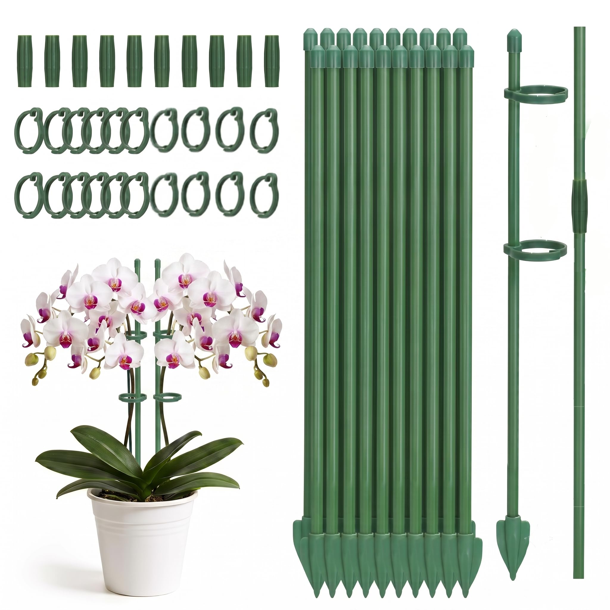 Adjustable Plant Supports for Indoor Plants - 20Pcs 30cm Plant Sticks Support Plant Stakes Rose Support Stakes Garden Plant Supports with Clips for Monstera, Orchid, Peonies,Climbing Plants
