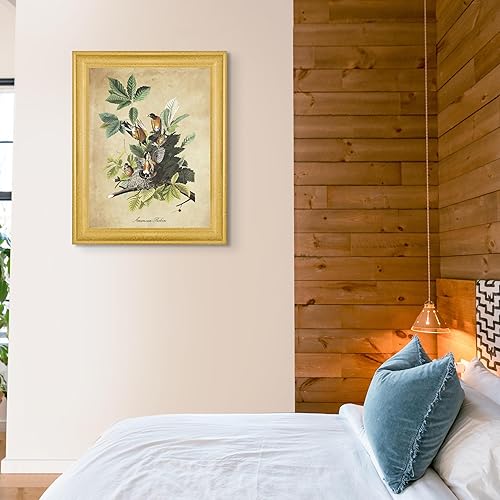 Vista 25 de Towee Bunting by James Audubon - Marco biselado negro de 12 x 16 pulgadas, decoración artística enmarcada para pared, reproducción de pinturas