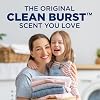 Arm & Hammer Liquid Laundry 170 oz Clean Burst Dual HE