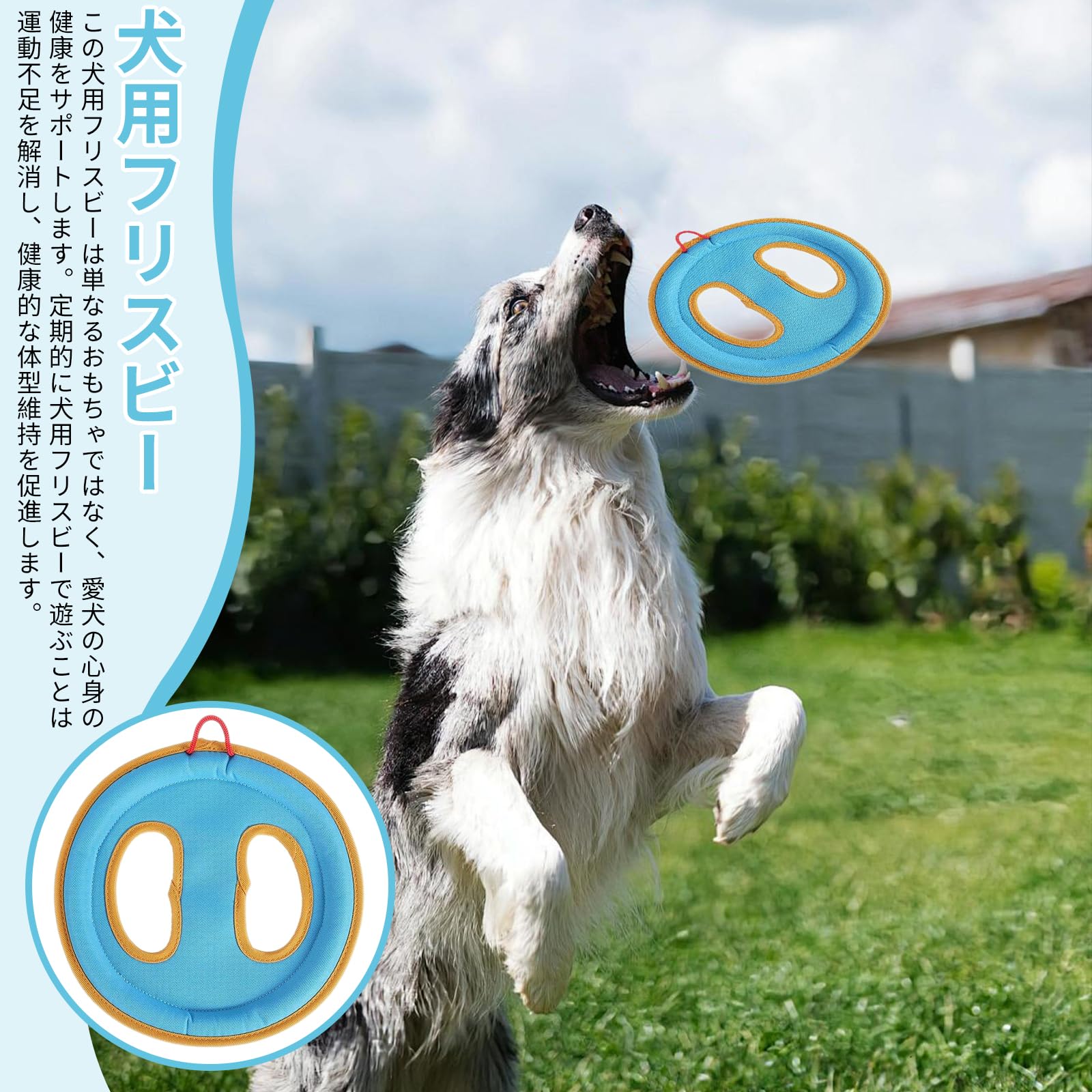 Amazon | Doyime 犬 おもちゃ フリスビー 柔らかい 【2個セット