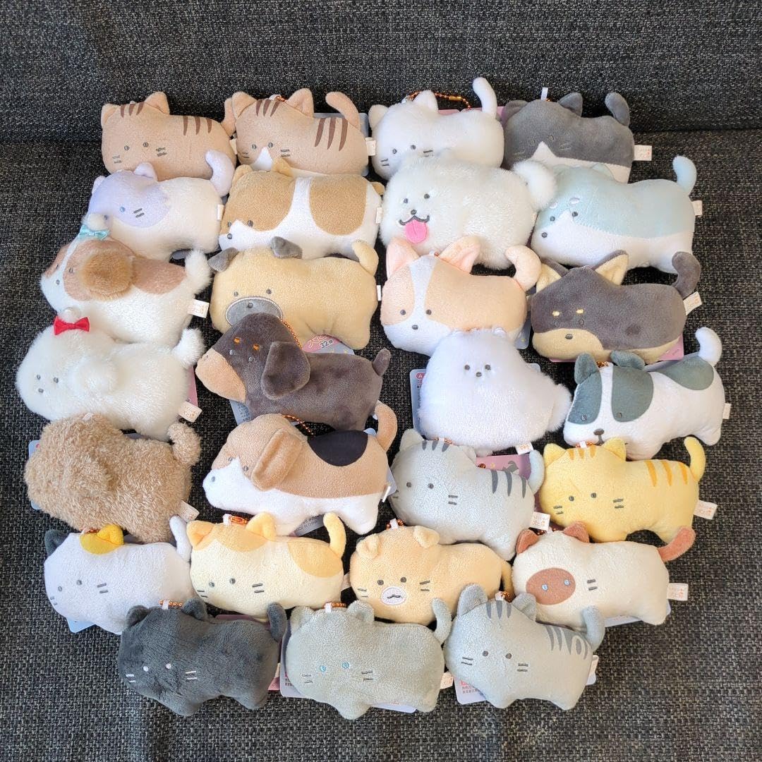 ② 最安値 受験参考書 バラ売り 東大 慶應 早稲田 上智 一橋 千葉大