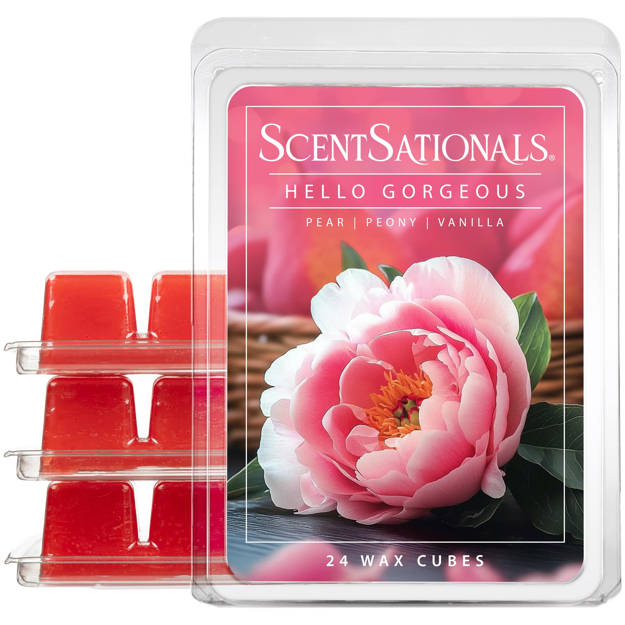 Scentsationals Scented Wax Fragrance Melts - Hello Gorgeous - Wax Cubes Pack, Home Warmer Tart, Electric Wickless Candle Bar Air Freshener, Spa Aroma Decor Gift - 2.5 oz (4-Pack)