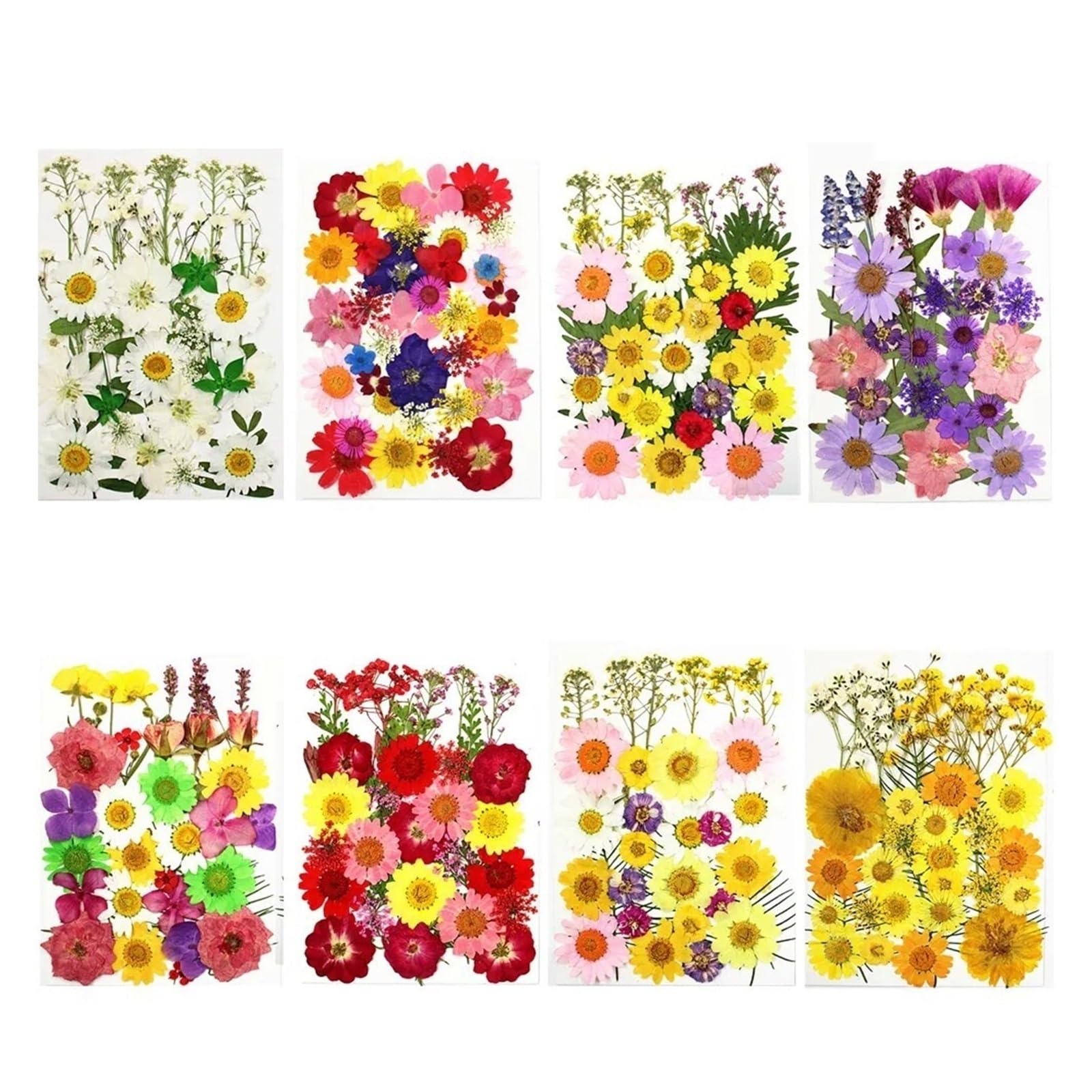 HBALDTEDC Getrocknete gepresste Blumen, 1 Packung Trockenblumen, Trockenpflanzen for Harzformen, Füllungen, Epoxidharz, Basteln, DIY, Nagelkunst, Dekoration, gepresste Blumen