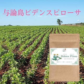 Amazon.co.jp: 【しまのだいち】 ビデンス・ピローサのタブレット 与論