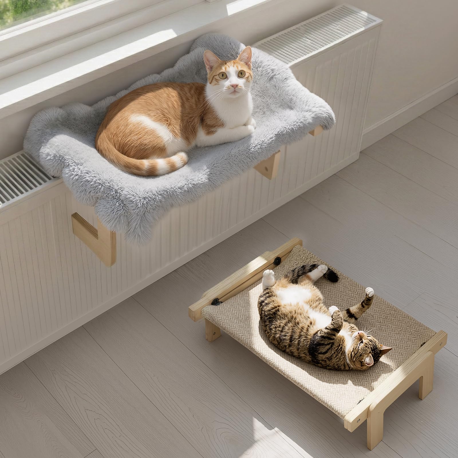 Dodo chat haut de gamme avec rembourrage orthopédique et finitions soignées
