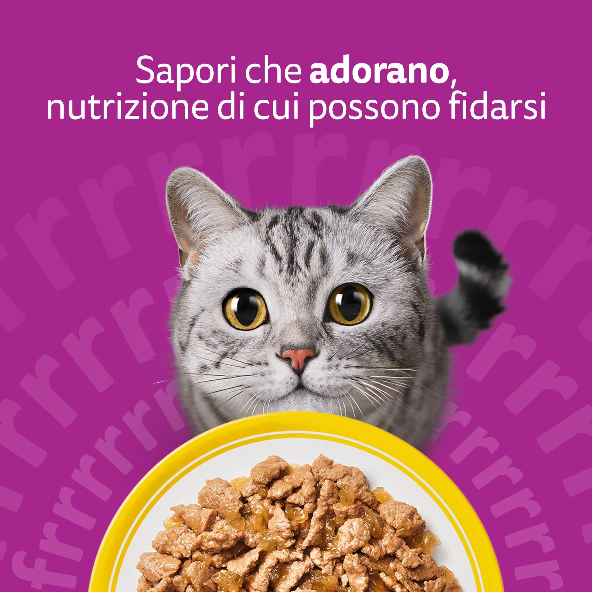 WHISKAS Cibo Umido in Gelatina per Gatti Adulti 120x85g Selezione Delicata