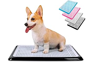 Pet Awesome Dog Potty Tray: The Ultimate Wee Wee Pad Holder for Small Dogs
